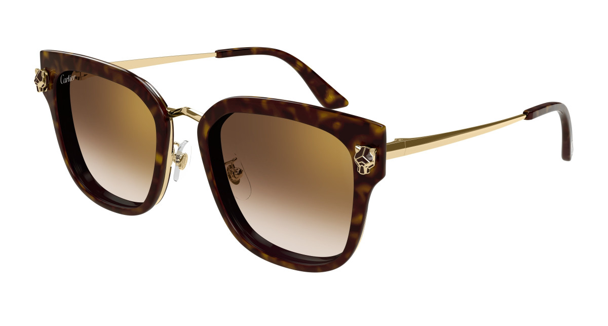 Eyeglasses Cartier CT0509SA 002 Havana