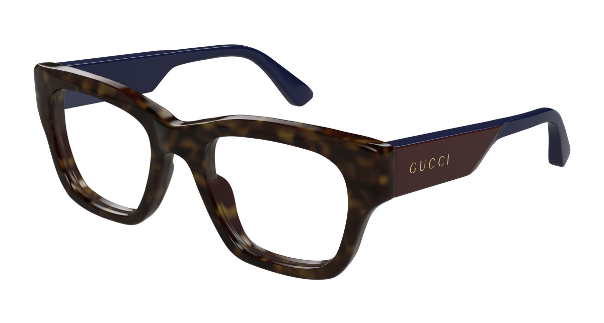 Sunglasses Gucci GG1669O 002 Havana