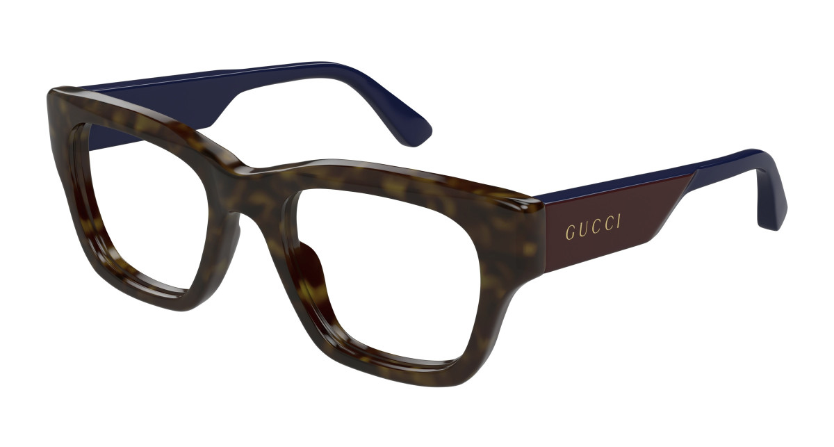Sunglasses Gucci GG1669O 006 Havana