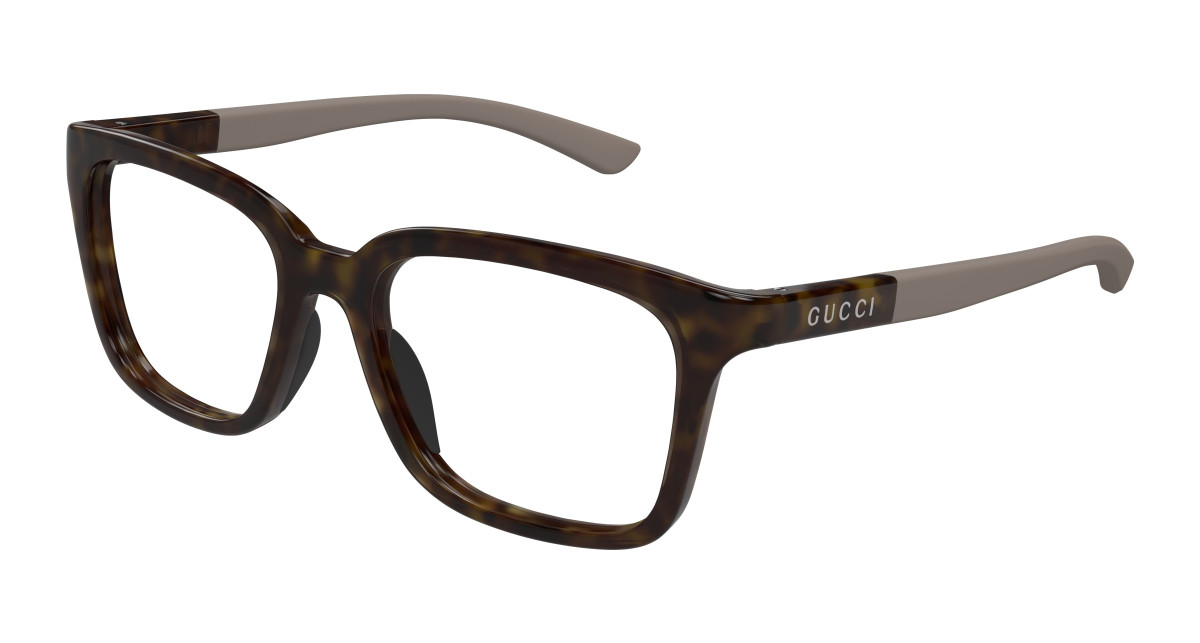 Sunglasses Gucci GG1738O 002 Havana