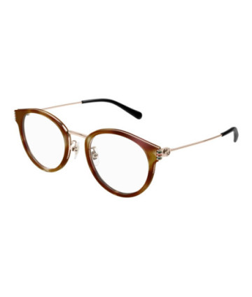 Sunglasses Gucci GG1885OA 004 Havana