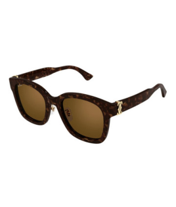 Lunettes de Soleil Cartier CT0589SA 002 Havane