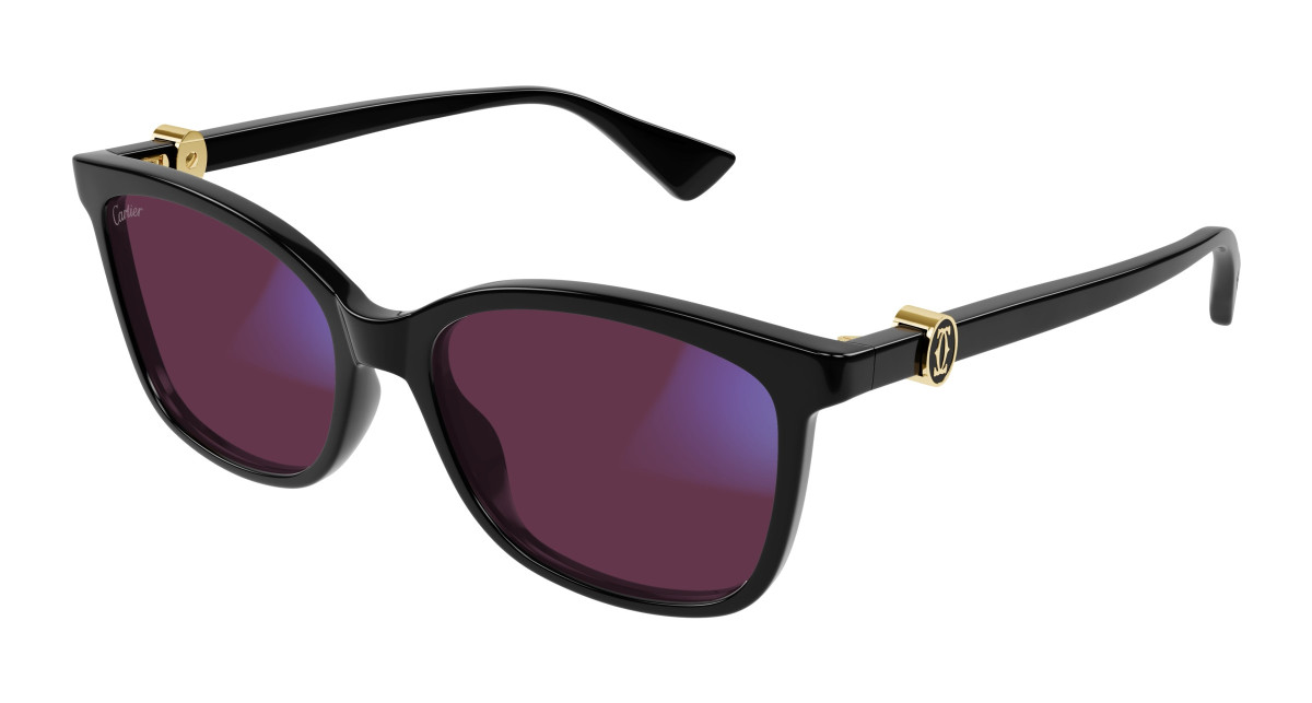 Lunettes de Soleil Cartier CT0493S 001 Noir