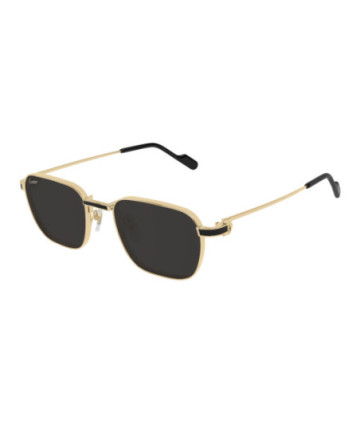 Lunettes de Soleil Cartier CT0497S 006 Or