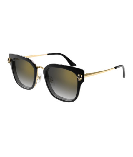 Lunettes de Soleil Cartier CT0509SA 001 Noir