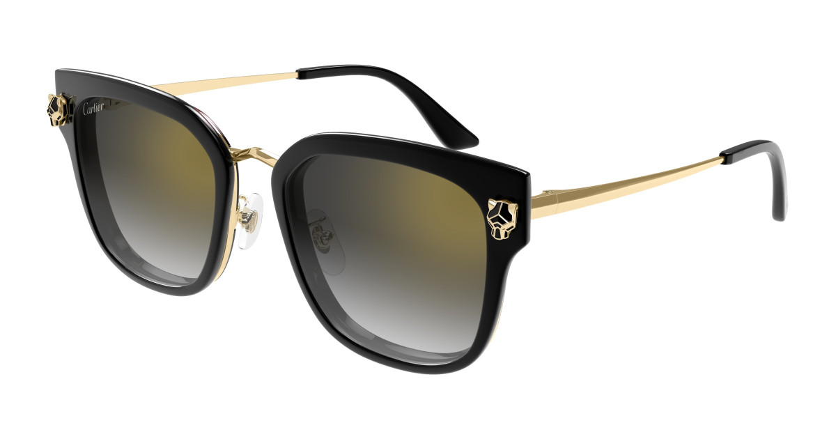 Lunettes de Soleil Cartier CT0509SA 001 Noir