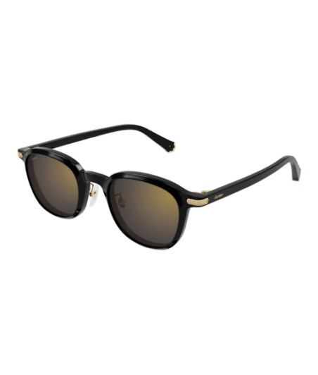 Lunettes de Soleil Cartier CT0541SA 005 Noir