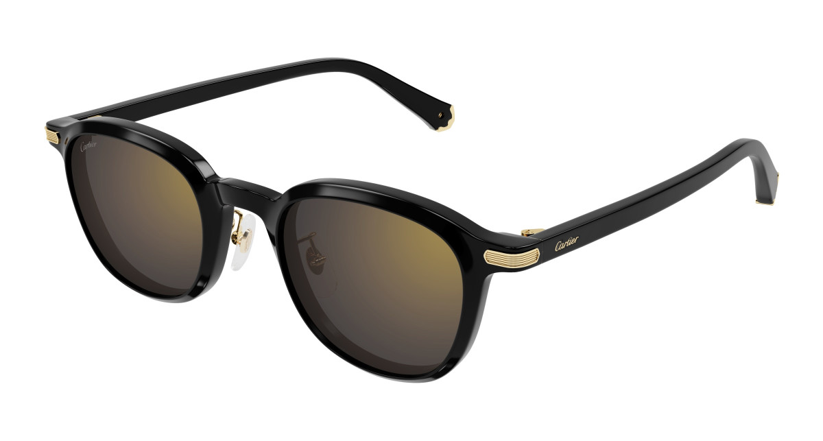 Lunettes de Soleil Cartier CT0541SA 005 Noir