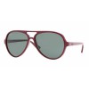 Ray-Ban RB4125 739 (Cats 5000)