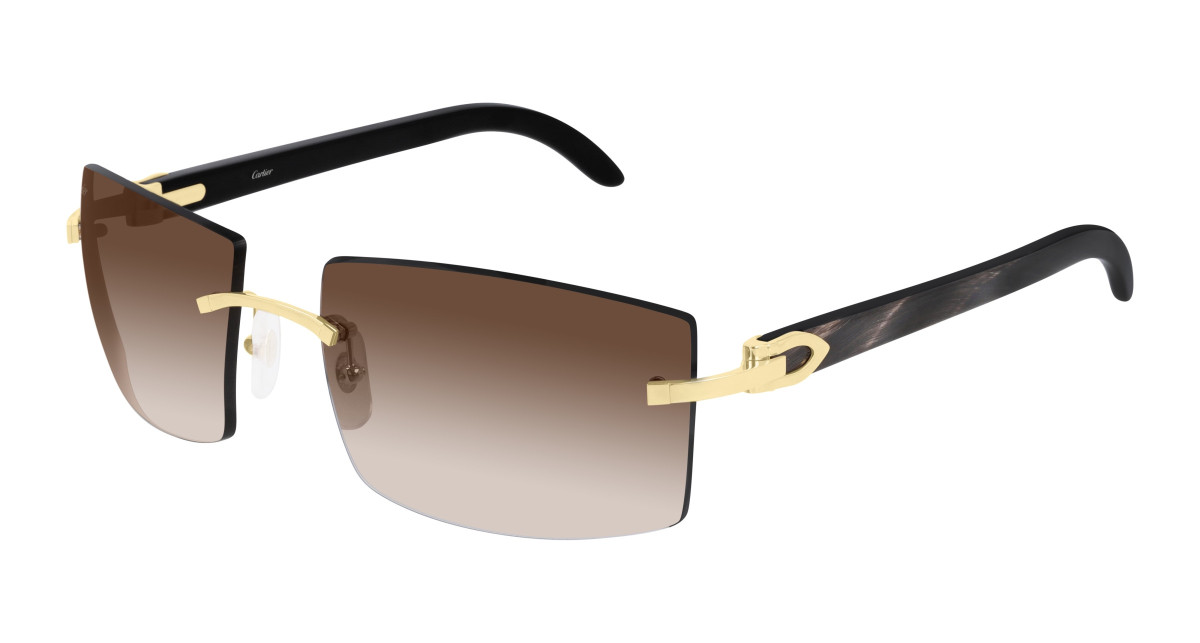 Cartier Sunglasses CT0021RS 001 Gold