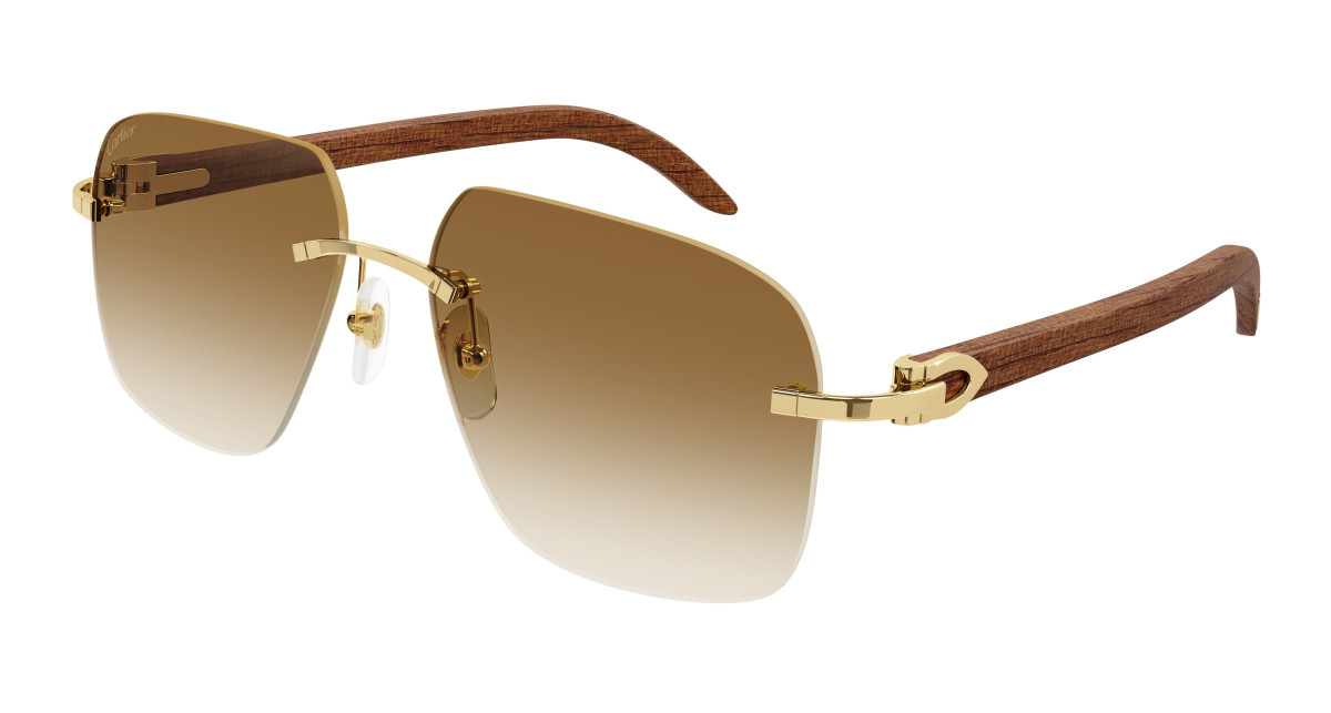 Cartier Sunglasses CT0041RS 001 Gold