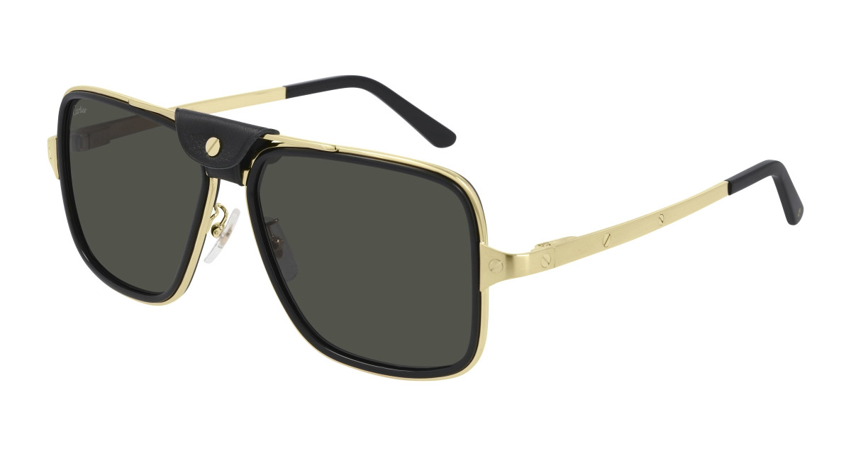 Cartier Sunglasses CT0263SA 001 Black