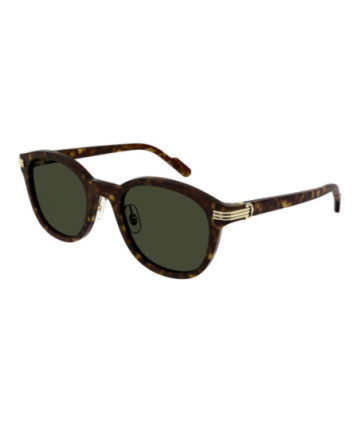 Cartier Sunglasses CT0302S 002 Havana