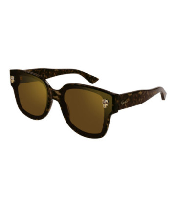 Cartier Sunglasses CT0357S 002 Havana