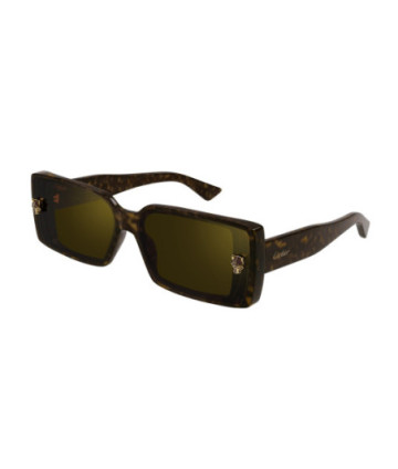 Cartier Sunglasses CT0358S 002 Havana