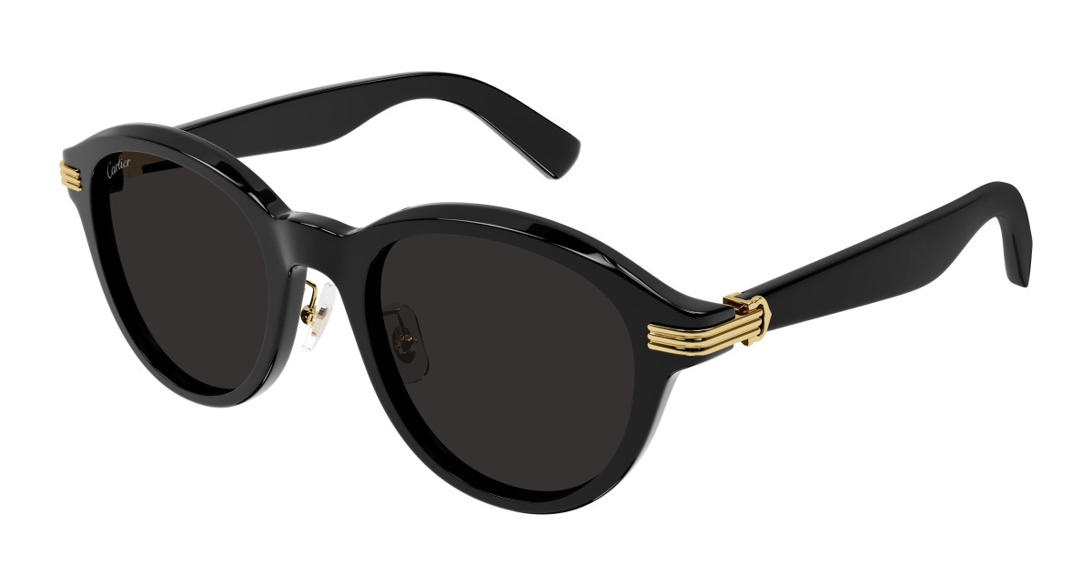 Cartier Sunglasses CT0395SA 001 Black