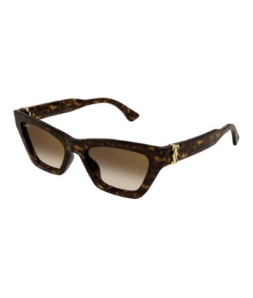 Cartier Sunglasses CT0437S 002 Havana