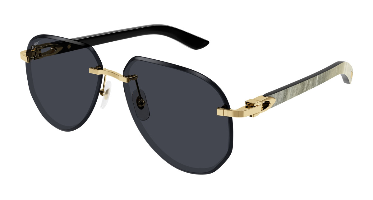 Cartier Sunglasses CT0440S 002 Gold
