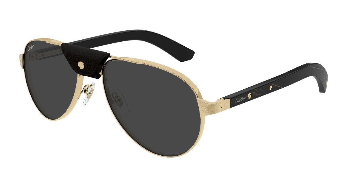 Cartier Sunglasses CT0495S 001 Gold
