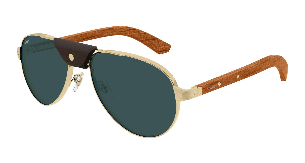 Cartier Sunglasses CT0495S 002 Gold
