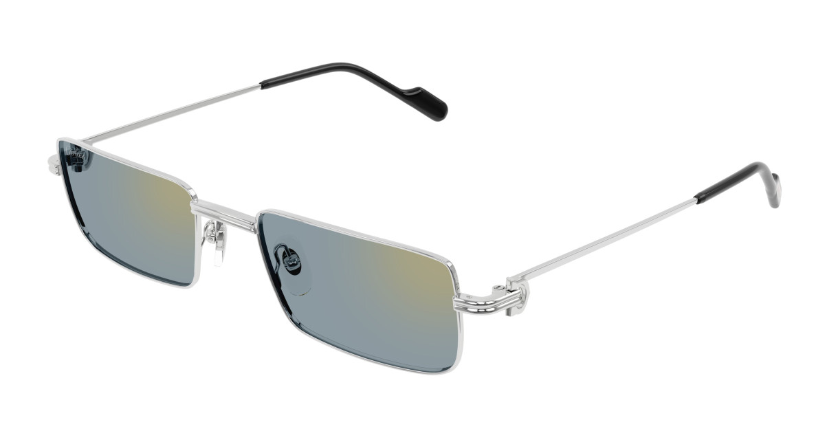 Cartier Sunglasses CT0501S 008 Silver