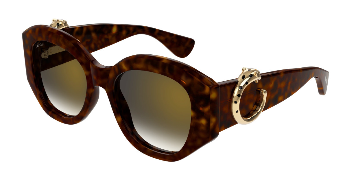 Cartier Sunglasses CT0502S 002 Havana