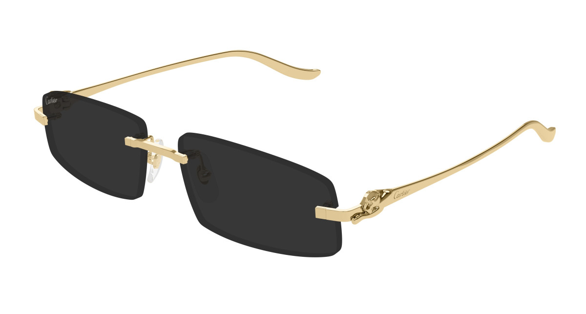 Cartier Sunglasses CT0505S 001 Gold