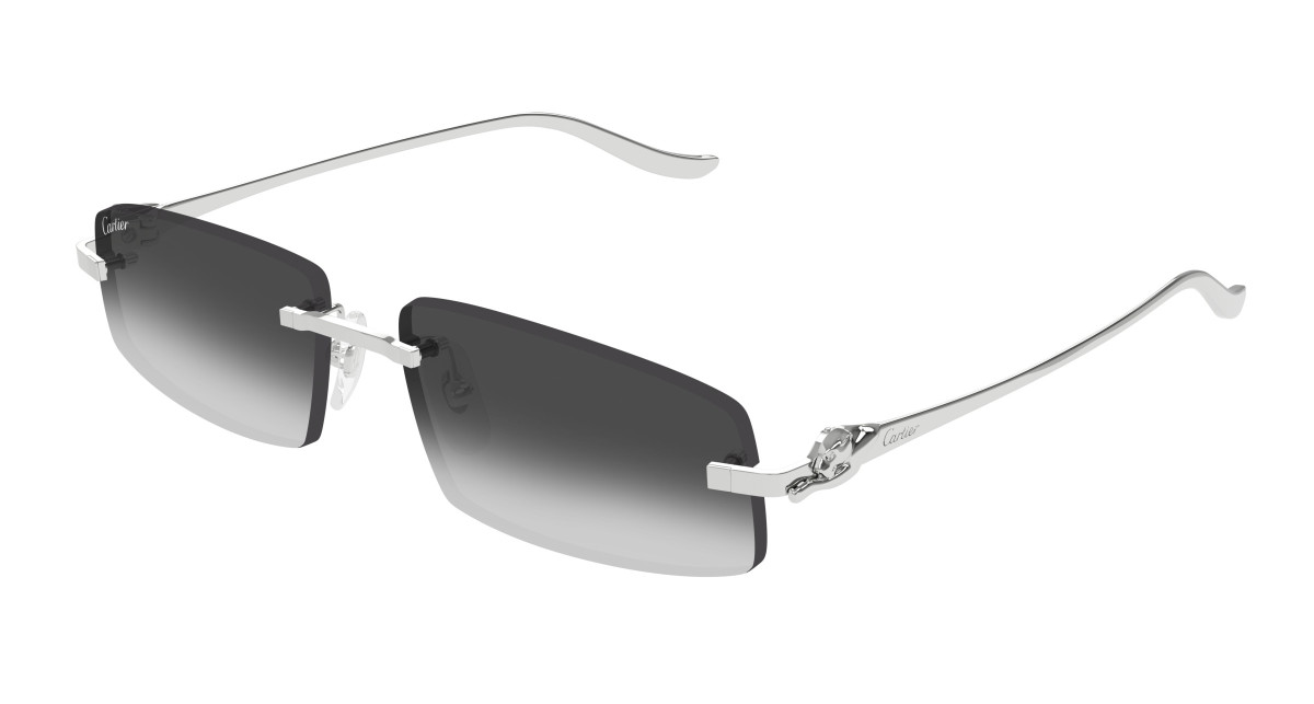 Cartier Sunglasses CT0505S 002 Silver