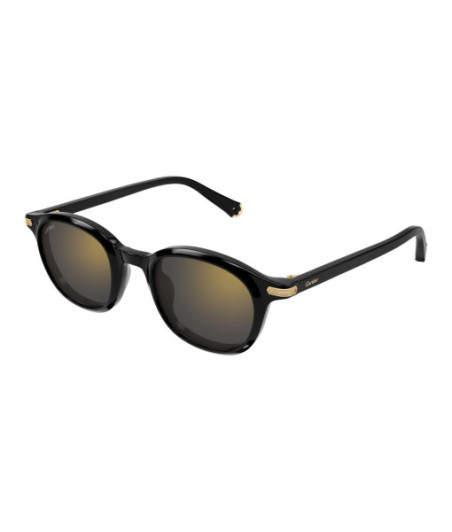 Cartier Sunglasses CT0584S 001 Black