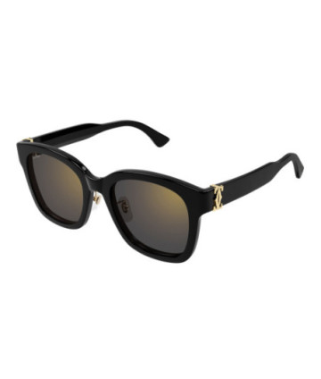 Cartier Sunglasses CT0589SA 001 Black