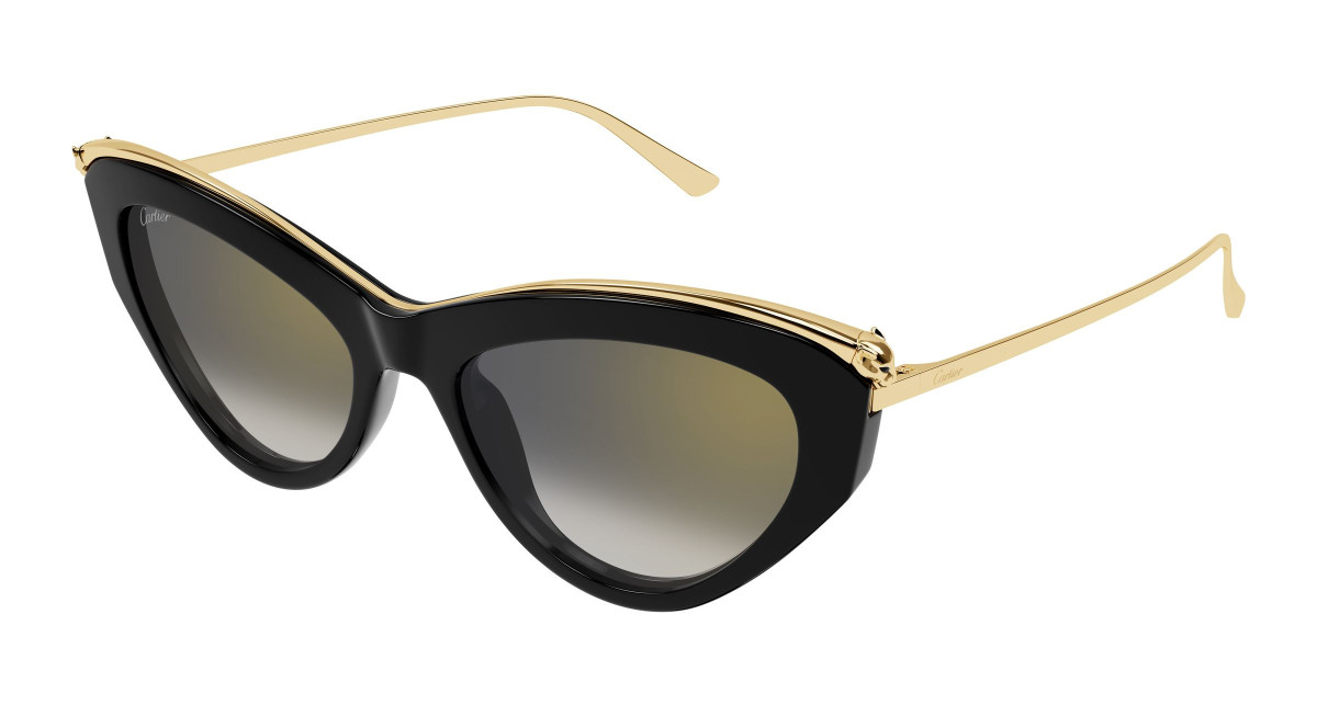 Cartier Sunglasses CT0596S 001 Black