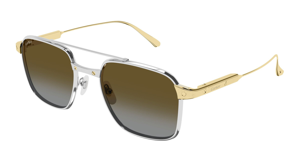 Cartier Sunglasses CT0610S 003 Silver