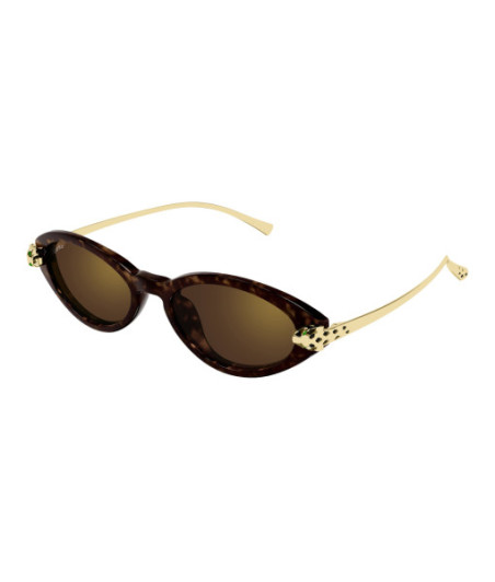 Cartier Sunglasses CT0634S 002 Havana