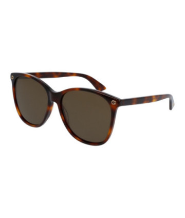 Gucci Sunglasses GG0024S 002 Havana