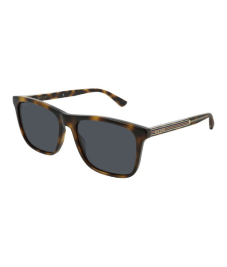 Gucci Sunglasses GG0381SN 009 Havana