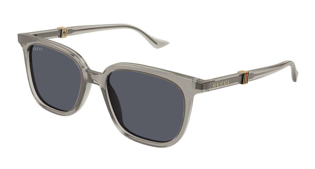Gucci Sunglasses GG1493S 003 Brown