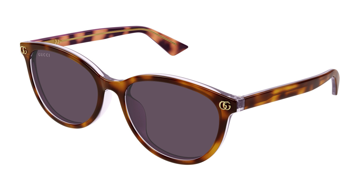 Gucci Sunglasses GG1818SK 004 Havana