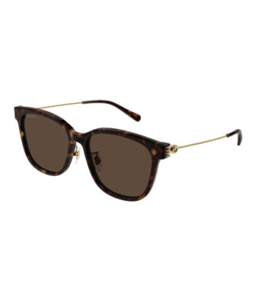 Gucci Sunglasses GG1884SK 002 Havana