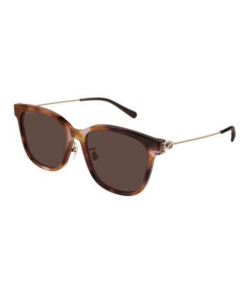 Gucci Sunglasses GG1884SK 004 Havana