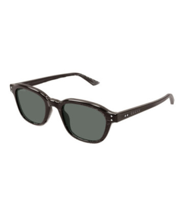 Gucci Sunglasses GG1892S 003 Brown