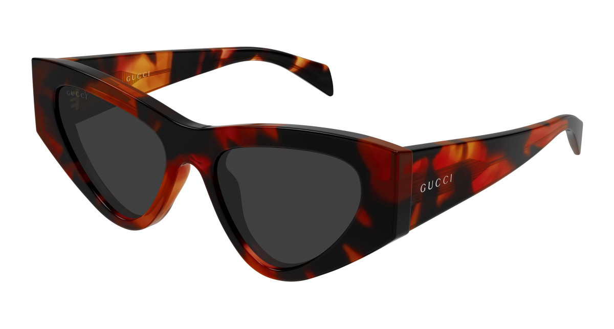 Gucci Sunglasses GG2019S 002 Havana