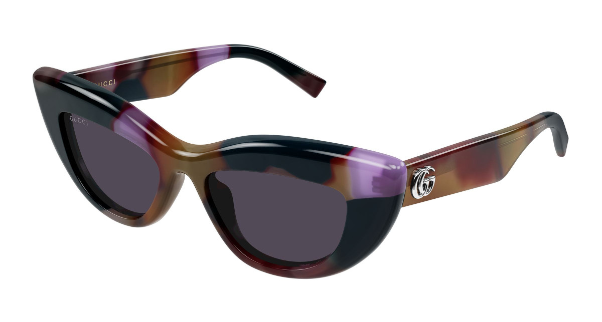 Gucci Sunglasses GG2031S 002 Havana