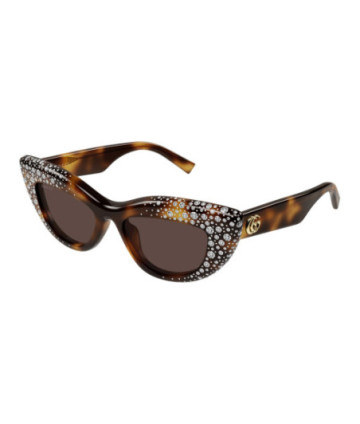 Gucci Sunglasses GG2031S 006 Havana