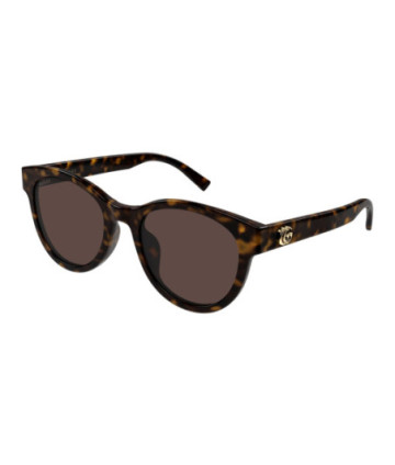 Gucci Sunglasses GG2127SK 002 Havana