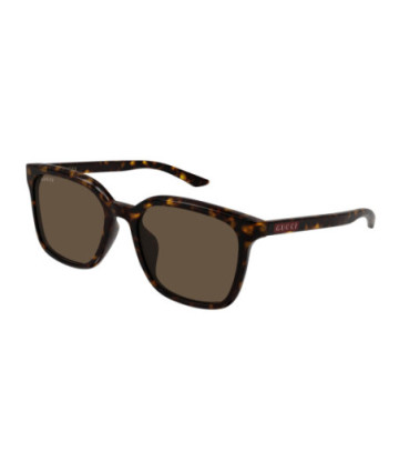 Gucci Sunglasses GG2080SK 002 Havana